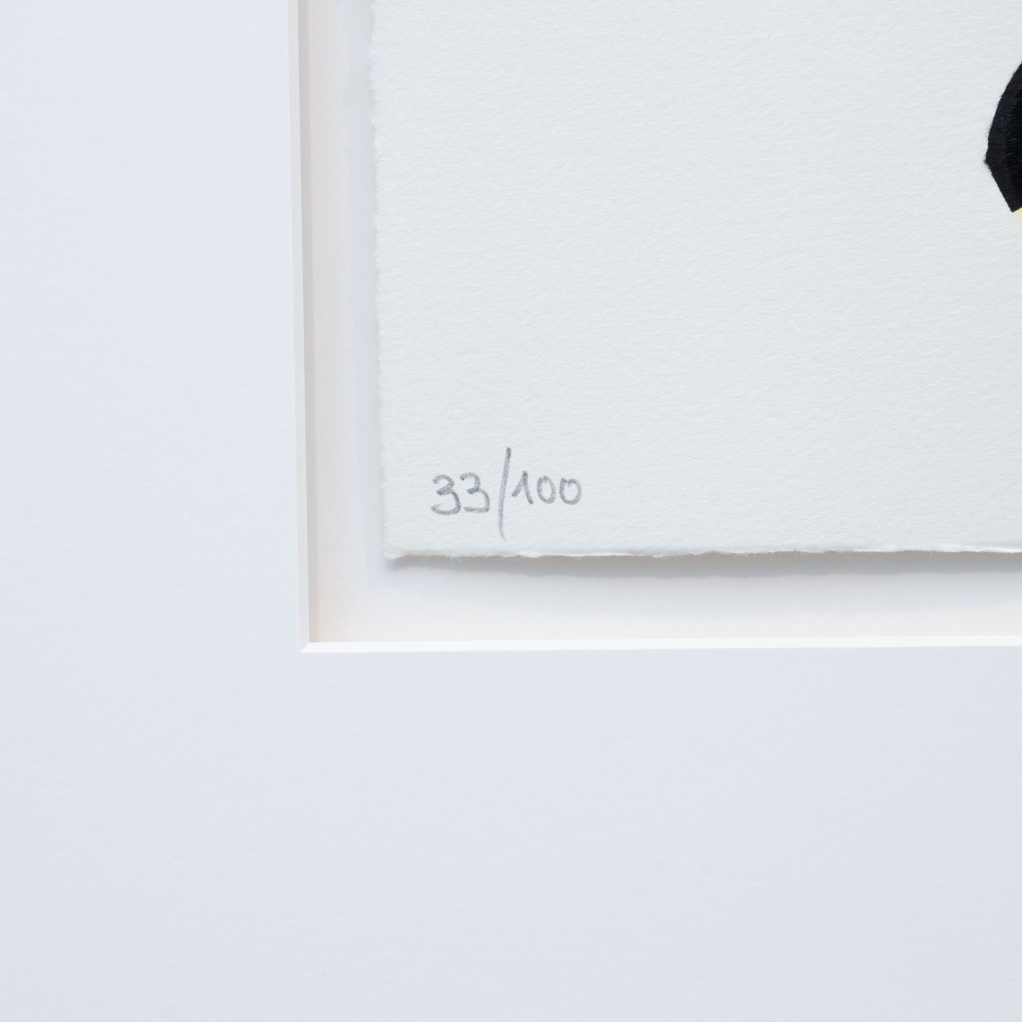 THOMAS BAUMGÄRTEL - Beuysbanane (2021), Spraylack auf Hahnemühle-Büttenpapier – Bild 2